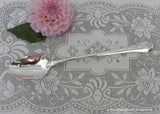 NOS Oneida Community Silver Plate Southern Garden Iced Tea Spoon