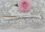 NOS Oneida Community Silverplate Southern Garden Butter Knife