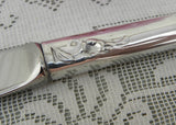 NOS Oneida Community Silverplate Southern Garden Butter Knife
