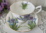 Vintage Royal Albert Blue and Purple Iris Teacup and Saucer