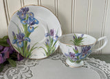 Vintage Royal Albert Blue and Purple Iris Teacup and Saucer