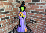 NWT Cracker Barrel Halloween Witch and Pumpkin Blow Mold