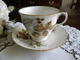 Vintage Queen Anne Nuts and Berries Teacup and Saucer - The Pink Rose Cottage