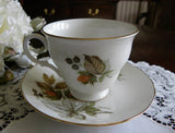 Vintage Queen Anne Nuts and Berries Teacup and Saucer - The Pink Rose Cottage