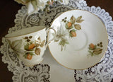 Vintage Queen Anne Nuts and Berries Teacup and Saucer - The Pink Rose Cottage