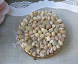 Vintage Seashell Powder Compact - The Pink Rose Cottage 