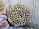 Vintage Seashell Powder Compact - The Pink Rose Cottage 