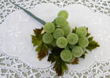 Vintage Sugared Glass Bunch of Green Grapes Picks