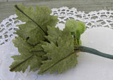Vintage Sugared Glass Bunch of Green Grapes Picks