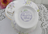 Vintage Colclough Art Deco Pastel Spring Flowers Teacup and Saucer