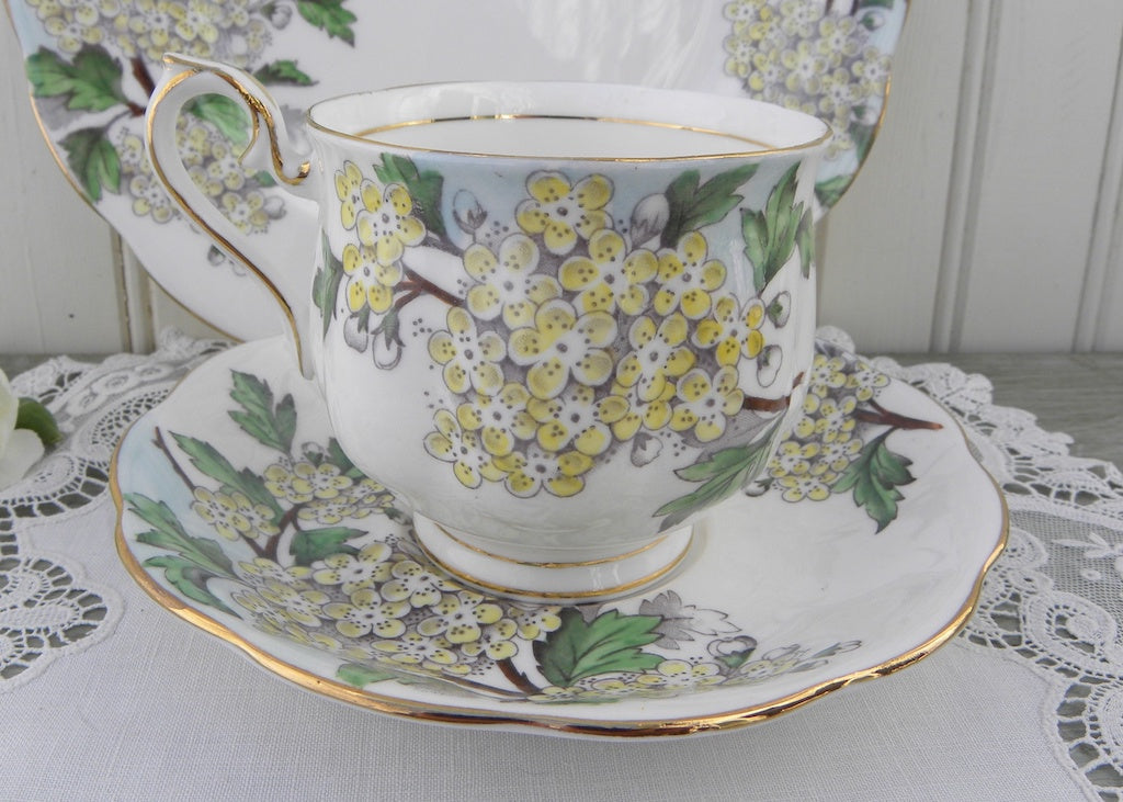 Vintage Royal Albert porcelain May (Flowers of the Month series) cup and  saucer with side plate (trio) from 1970 Stock Photo - Alamy