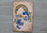 Antique Embossed and Flocked Postcard with Forget Me Nots and Blue Birds