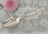 Vintage 1847 Roger Bros VINTAGE Grapes Serving Soup Spoon