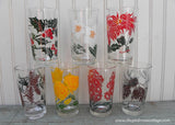Boscul Peanut Butter Glasses Tumblers Phlox
