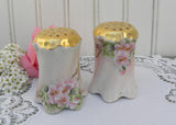 Vintage Hand Painted Salt and Pepper Shakers Pink Wild Roses Germany