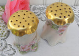 Vintage Hand Painted Salt and Pepper Shakers Pink Wild Roses Germany