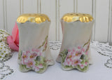 Vintage Hand Painted Salt and Pepper Shakers Pink Wild Roses Germany