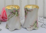 Vintage Hand Painted Salt and Pepper Shakers Pink Wild Roses Germany