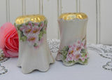 Vintage Hand Painted Salt and Pepper Shakers Pink Wild Roses Germany