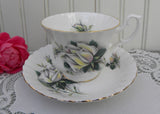 Vintage Royal Albert Blush White Rose Teacup and Saucer