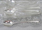 NOS Oneida Community Silver Plate Southern Garden Iced Tea Spoon