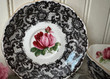 Vintage Royal Albert Senorita Teacup and Saucer Black Lace Pink Rose