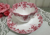 Vintage Shelley Dainty Pink Teacup and Saucer