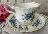 Vintage Royal Albert July Forget-Me-Not Teacup Saucer Flower of The Month