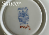 Rare Vintage Paragon Signs & Omens Fortune Telling Teacup and Saucer