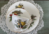 Vintage Royal Chelsea Goldfinch Teacup Saucer Luncheon Trio