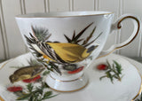 Vintage Royal Chelsea Goldfinch Teacup Saucer Luncheon Trio