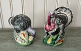 Vintage Turkey Salt & Pepper Shakers | Tom & Hen Set
