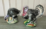 Vintage Turkey Salt & Pepper Shakers | Tom & Hen Set