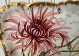 1891 Antique Haviland Limoges Hand Painted Spider Mums Tray France