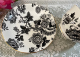 Vintage Victoria Black White Mandarin Teacup and Saucer