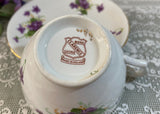 Vintage Clarence Purple Cottage Violets Teacup and Saucer