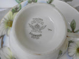 Vintage Tuscan Dogwood Teacup and Luncheon Plate Set - The Pink Rose Cottage 