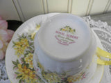 Vintage Royal Albert Blossom Time Series Laburnum Teacup and Saucer - The Pink Rose Cottage 