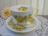 Vintage Royal Albert Blossom Time Series Laburnum Teacup and Saucer - The Pink Rose Cottage 