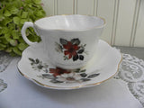 Vintage Royal Dover Teacup and Saucer with Red and White Wild Roses - The Pink Rose Cottage 