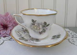 Vintage Rosina White Rose Teacup and Saucer