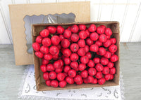 144 Pieces Vintage Red Apple Cherry Fruit Floral Millinery Picks