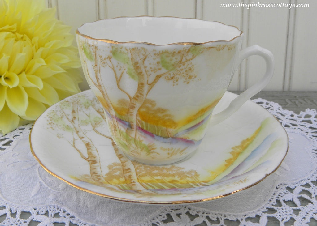 Vintage Melba Bone China Teacup and Saucer with Trees and Hills