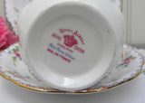 Vintage Royal Albert Petit Point China Pink Roses Teacup Saucer and Luncheon Plate
