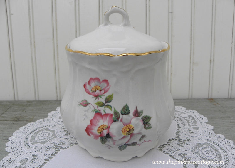 Vintage house of Webster store Strawberry cookie jar canister glossy red with lid