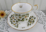 Vintage White Apple Blossoms Teacup and Saucer