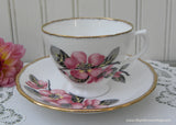 Vintage Pink and Black Dogwood Blossoms Teacup and Saucer
