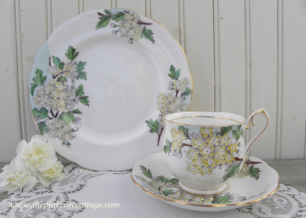 Vintage Royal Albert Flower of the Month Teacup & Plate Trio No 5 Hawthorn
