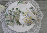 Vintage Royal Albert Flower of the Month Teacup & Plate Trio No 5 Hawthorn