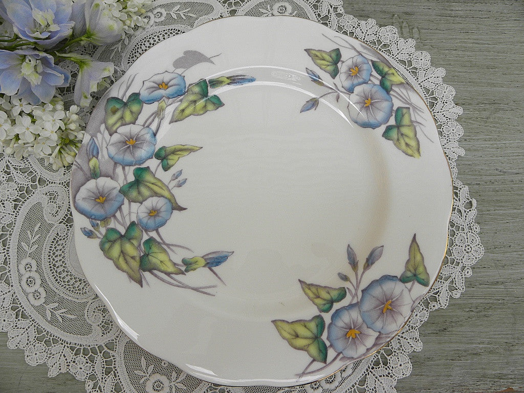 Royal Albert Flower of the Month Series "Morning Glory" Plate - The Pink Rose Cottage 